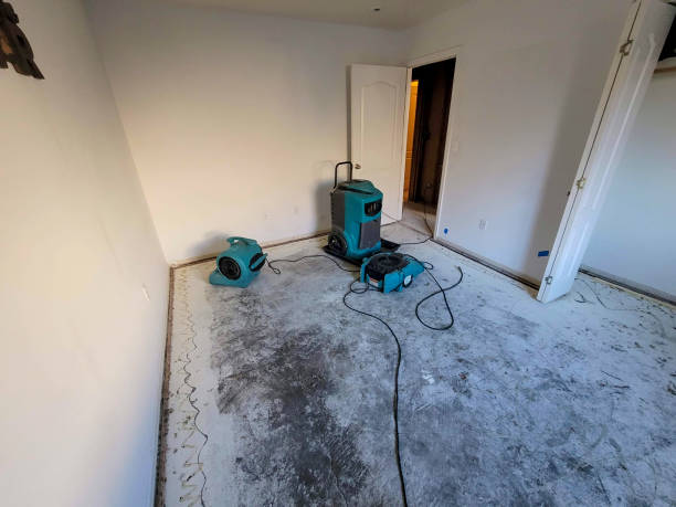 Best Local water damage restoration  in Tokeneke, CT