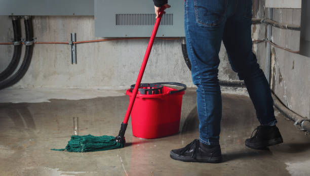 Best Mold removal after water damage  in Tokeneke, CT