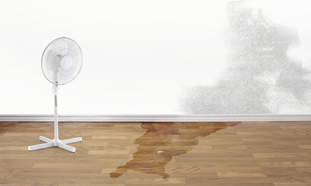 Best Water damage restoration insurance claims  in Tokeneke, CT