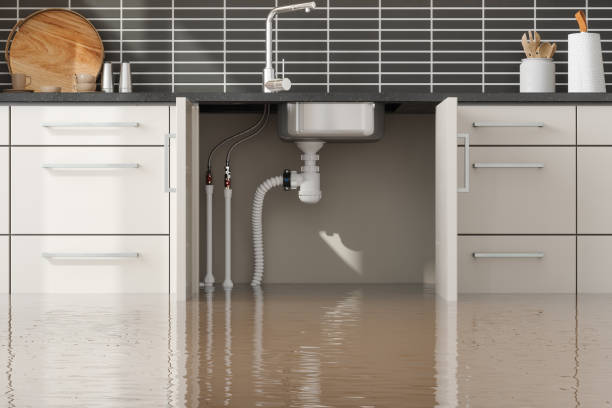 Best Ceiling water damage repair  in Tokeneke, CT