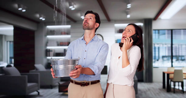  Tokeneke, CT Water damage restoration Pros