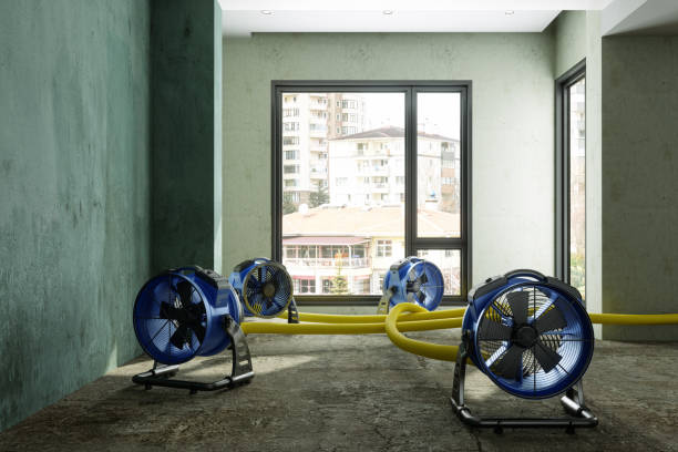 Best Local water damage restoration  in Tokeneke, CT